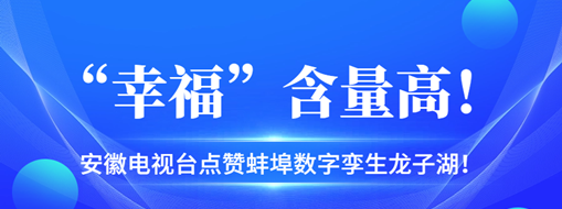 ?“幸?！焙扛?，安徽電視臺(tái)點(diǎn)贊蚌埠數(shù)字孿生龍子湖！